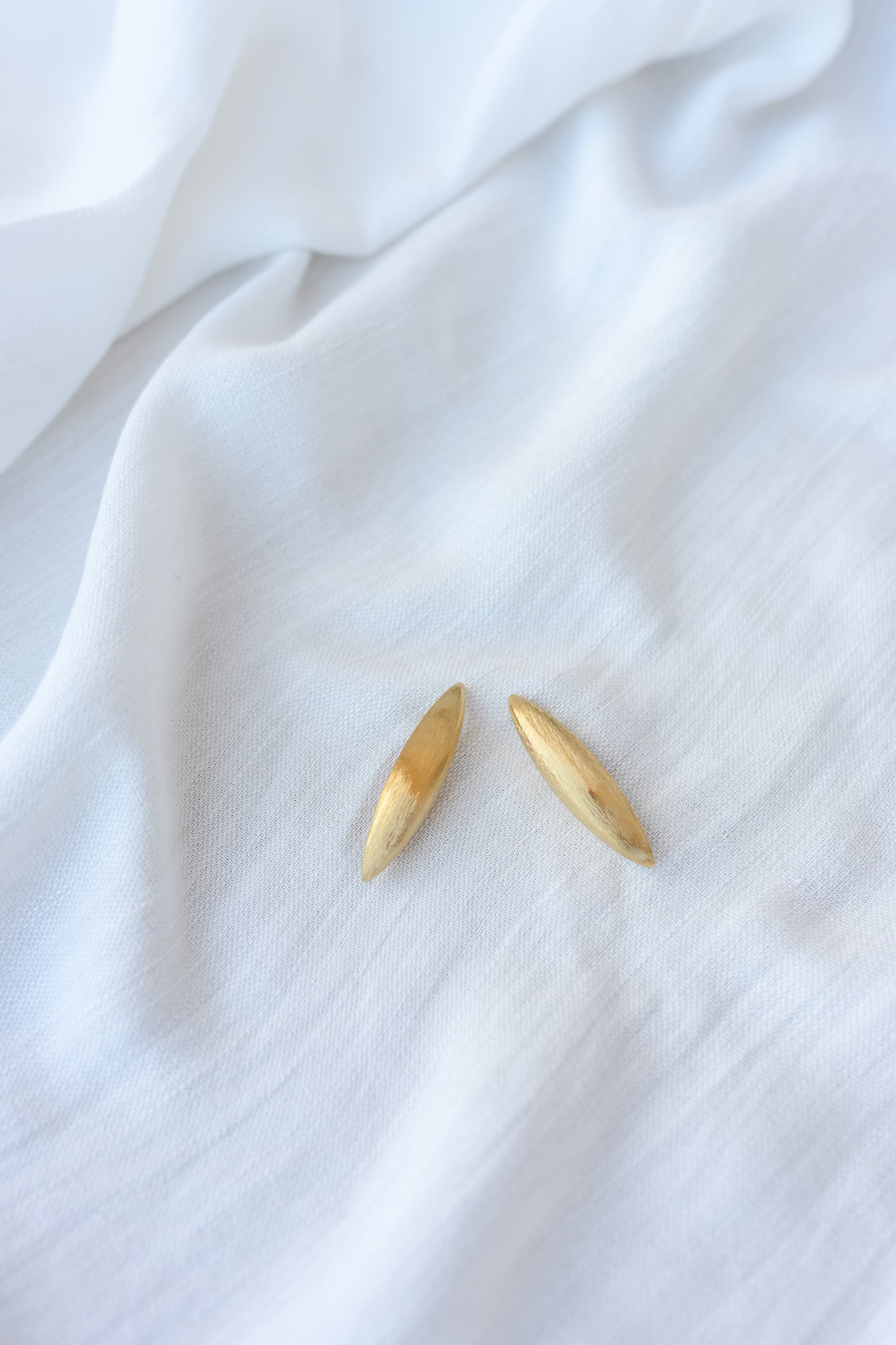 Golden Trady Earrings